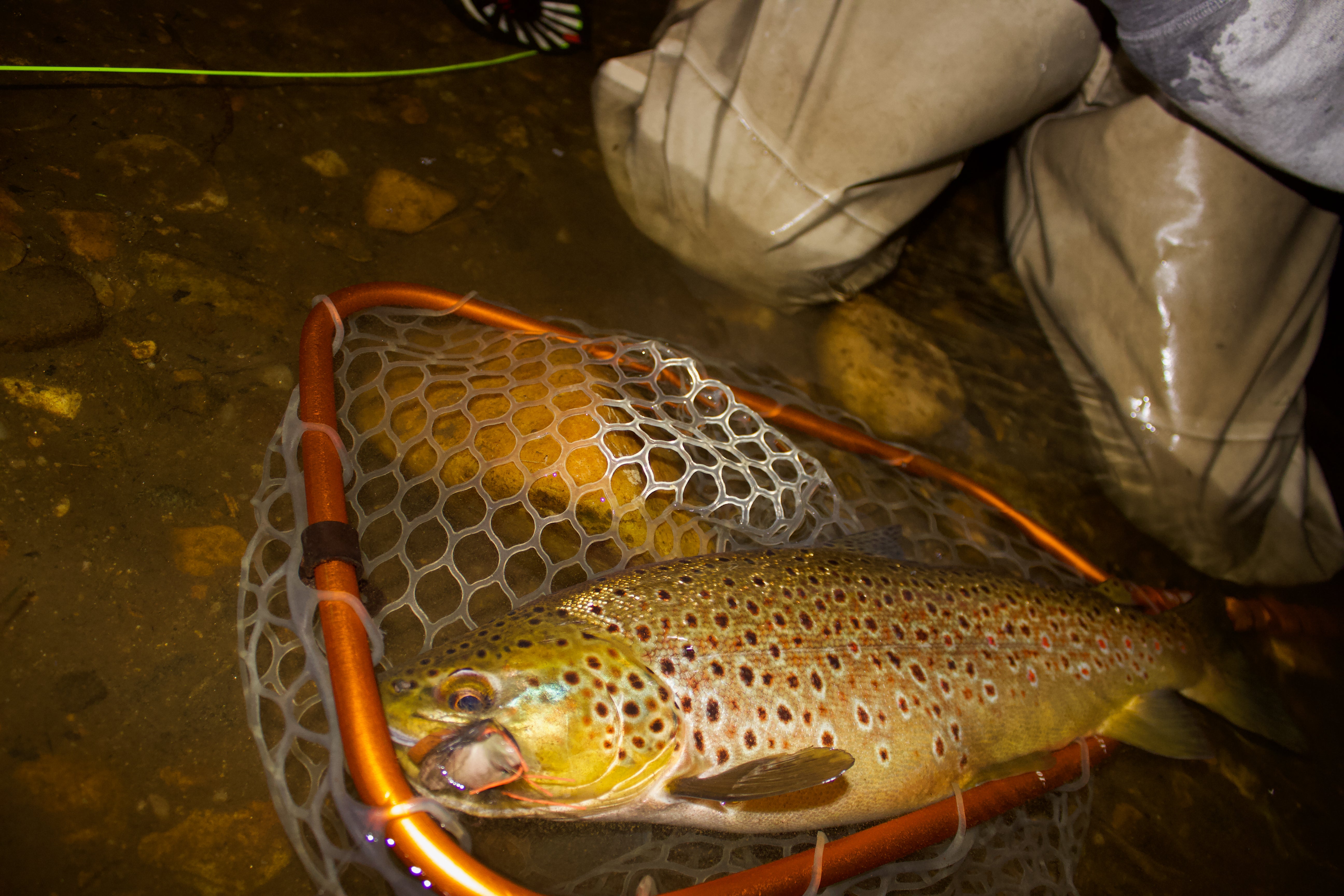 How To Trout Fish Bait In Creeks & Rivers. In DEPTH TROUT FISHING Tips. 