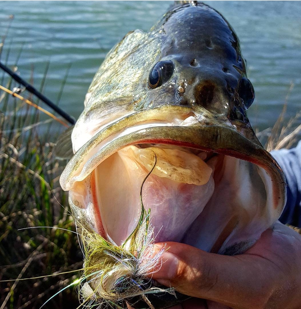 Bass Jumping Freshwater Fishing Decal