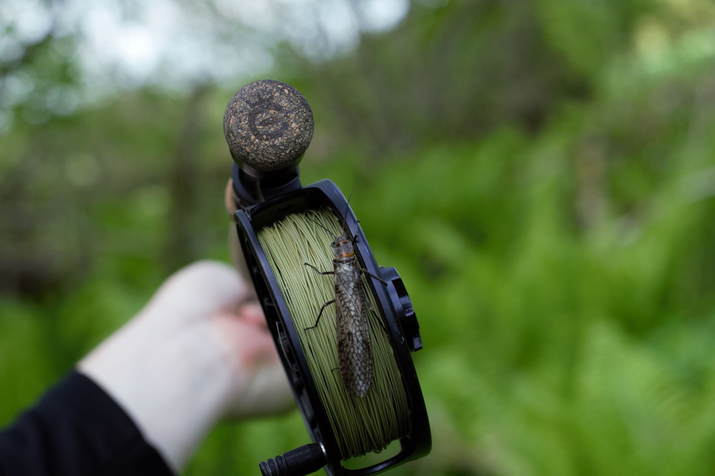Euro Nymph Braid Core - Freshwater Floating Fly Line – Cortland