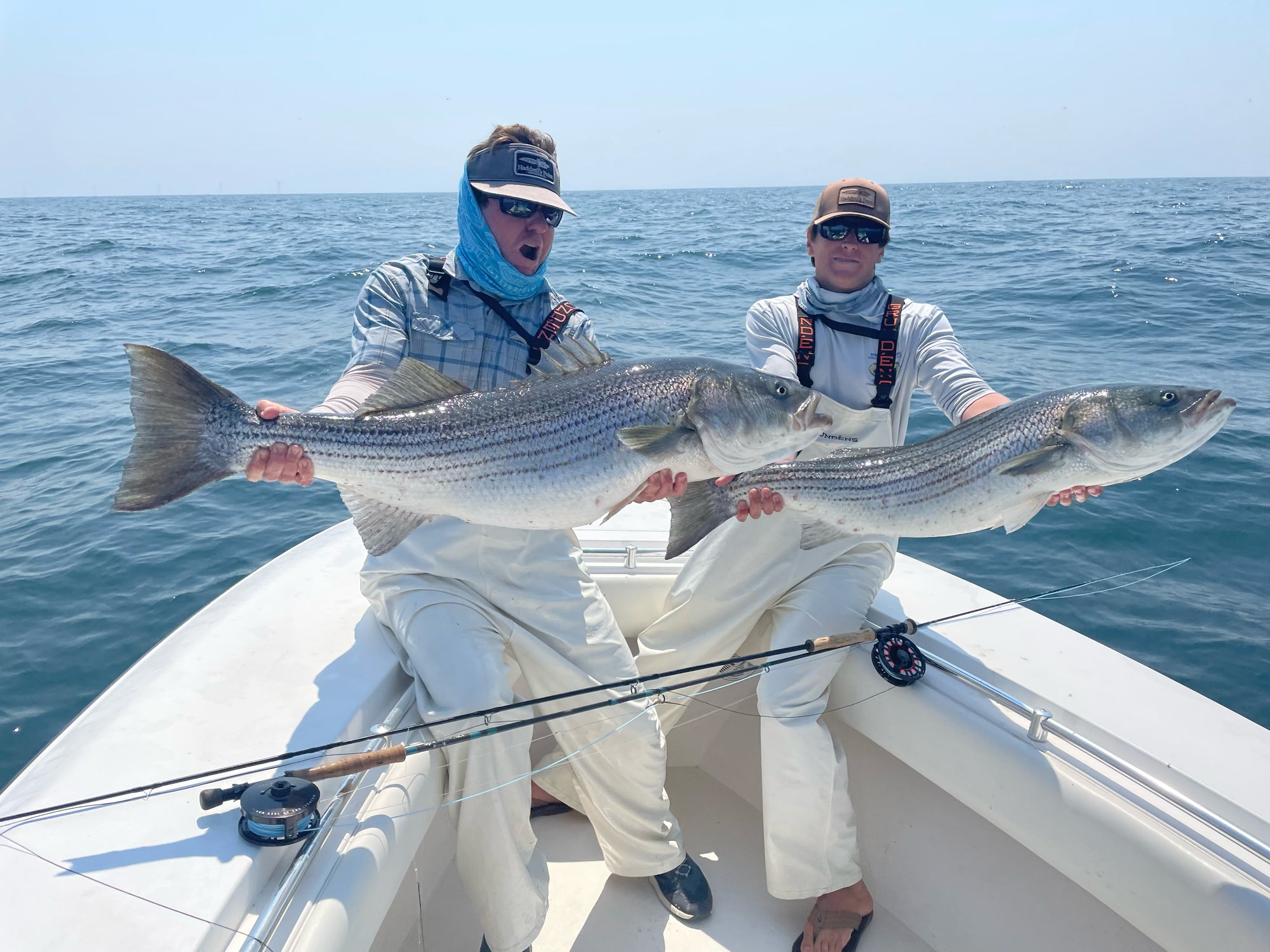 The Art of Teasing for Striped Bass – Cortland Line Company