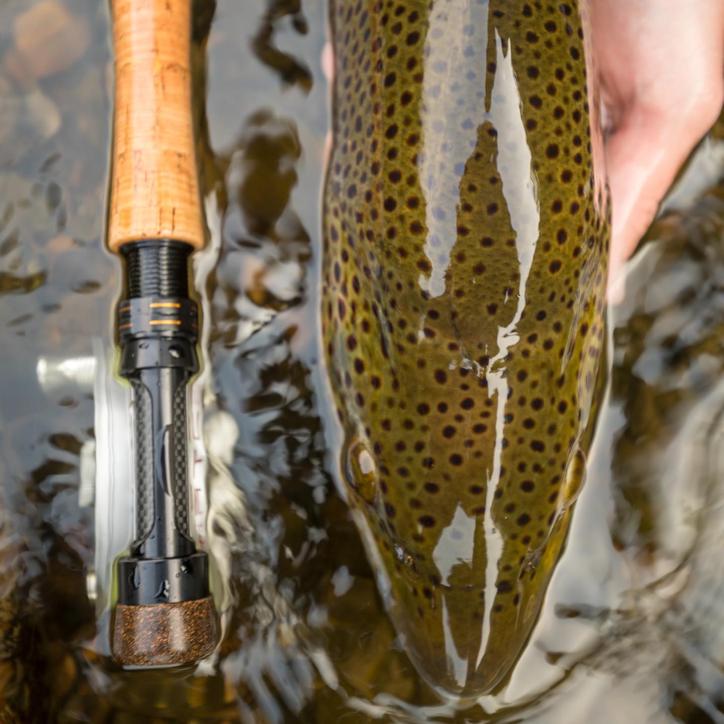 Competition MKII Series Fly Rod - Euro Style Nymphing – Cortland 